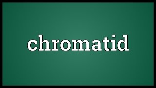 Chromatid Meaning [upl. by Hu]