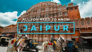 The Ultimate Jaipur Tour Guide Places To Visit Things To Do Forts Palaces Markets  Tripoto [upl. by Nodnil]