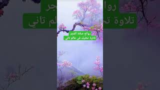 القارئ احمد كاسب جمالgamal اكسبلور قرآن explore edit [upl. by Ray]