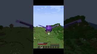 GOD LEVEL ENCHANTMENT FOR ELYTRA  Minecraft God Level elytra shorts shortvideos minecraft [upl. by Krystin]