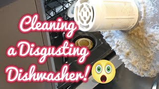 Cleaning a disgusting dishwasher [upl. by Salome]