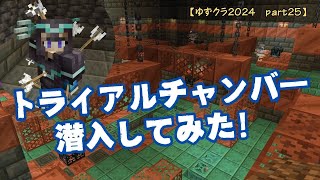 【マイクラ】トライアルチャンバーへ潜入してみた！ストレイに囲まれ大ピンチ！トライアルチャンバーヘビーコア [upl. by Knowling27]