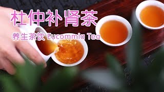 如何冲杜仲补肾茶 养生茶饮Eucommia [upl. by Shrier]