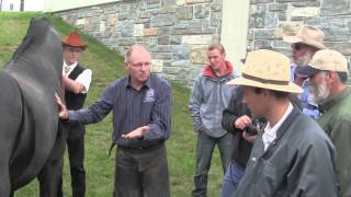 Farrier Quick Takes Mike Wildenstein Friesians And Uncooperative Horses [upl. by Biddle]