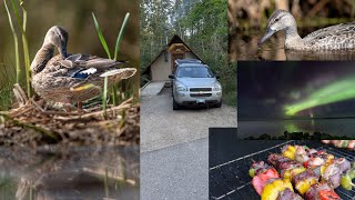 Family Adventure at Riding Mountain 🏔️ Otentik Camping 🏕️ Marsh Hike amp CloseUp Ducks 🦆 [upl. by Farica740]