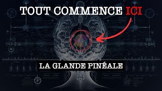 GLANDE PINÉALE  Explication Détaillée jaurais aimé savoir ça plus tôt [upl. by Assirk]