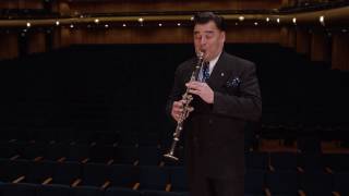 What does a clarinet sound like Ode to Joy [upl. by Armbrecht]