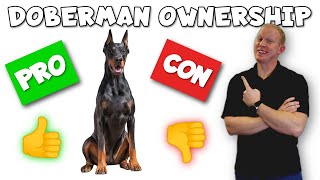 Doberman Pinscher Pros and Cons  From an ACTUAL Owner [upl. by Rybma]