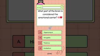 🧠❤️ Discover the Brains Emotional Center—Do You Know Where mededtrivia biologybrainteasers [upl. by Oigroeg]