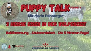 Puppy Talk 3 heiße Eisen in der Welpenzeit Mit Maria Rehberger [upl. by Keil]