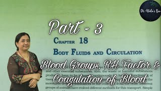 Body Fluids and Circulation  Part 3  Class 11 Biology  NCERT NEET [upl. by Arrimat]