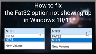 How to Fix the FAT32 Option Not Showing Up in Windows 1011 [upl. by Ogdan719]