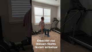 Exercises for SeniorsSeated Triceps Extension [upl. by Otilopih82]