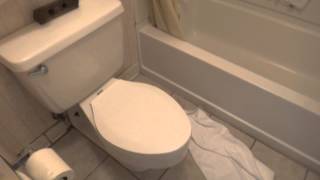 Bathroom Tour American Standard Toilet at a hotel [upl. by Teplica]