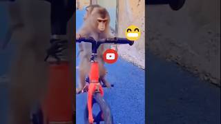 Funny video 😂 automobile funnycycle bicycle banglafilm stunt stuntbicycle cycle mtb stunt [upl. by Anytsyrk]