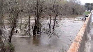 Bayou DArbonne at Whites Ferry Rd Historic Flooding 4K HD [upl. by Eisen]