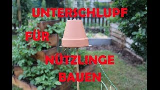 Unterschlupf für Ohrwürmer bauen [upl. by Poore766]