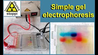 Homemade gel electrophoresis  Simple Gelelektrophorese [upl. by Nueoht231]