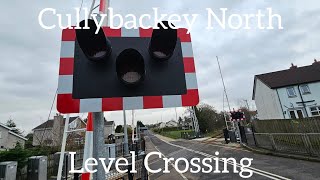 Cullybackey North Level Crossing Ballymena Monday February 19022024 [upl. by Eisdnyl]