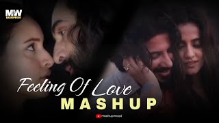 Feeling Of Love Mashup 2024  Trending Bollywood Love Mashup 2024  Vishal Mishra  MashupWood [upl. by Rodl]