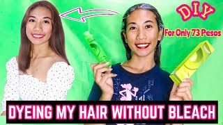 DIY HAIR COLOR AT HOME USING BREMOD NO BLEACH Camila Costales [upl. by Araem]