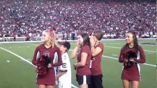 Surprise Military Family Welcome Home at South Carolina Football Game [upl. by Ahsit687]