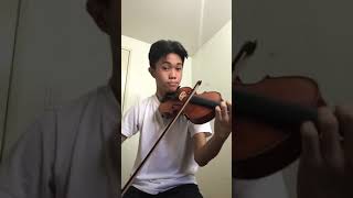 KIMI NO NA WA Zen Zen Zense  Radwimps Short Violin Cover [upl. by Beaner]