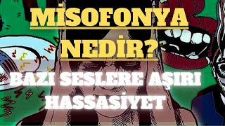 MİSOFONYA MİZOFONİ NEDİR BAZI SESLERE KARŞI NEFRET VE HASSASİYET [upl. by Irat]