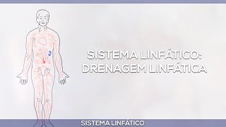 Sistema linfático drenagem linfática [upl. by Nadya18]