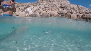 Lampedusa  Isola dei Conigli un bel giorno di settembre [upl. by Niac585]