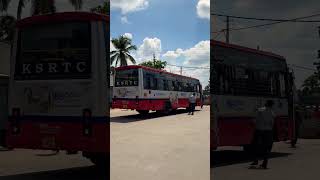 “Kadur  Chikkamagaluru “ ashwamedha ksrtc trending shorts [upl. by Aihsinyt]