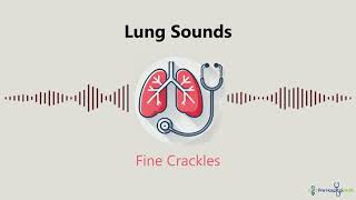 Lung Sounds Fine Crackles [upl. by Analihp]