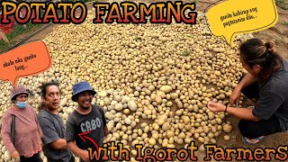 EP323 BENGUET POTATO FARMING SA GILID BANGIN  Igorot Farmers [upl. by Aitital]