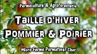 TAILLE DHIVER POMMIER et POIRIER AU VERGER DU JARDIN EN PERMACULTURE documentaire nature [upl. by Astto]