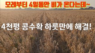 콩수확기계로 지옥탈출 콩농사도 이젠 기계화가 필요하다 콩수확 콤바인이 대세인 이유 Bean harvest combination Bean harvesting machine [upl. by Theodor860]