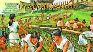 The Agrarian Revolution Essay explained and summary [upl. by Einnaej]