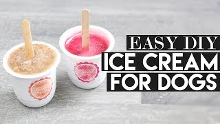 FRUIT ICE CREAM FOR DOGS DIY  RECIPE [upl. by Hyacinthe567]