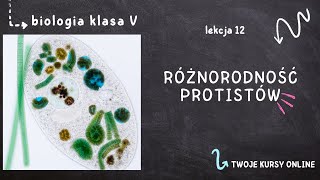 Biologia klasa 5 Lekcja 12  Różnorodność protistów [upl. by Dom696]