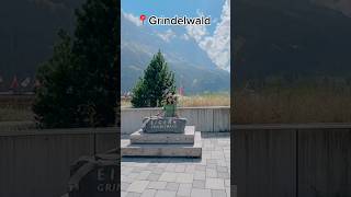 Thing To Do In Grindelwald Switzerland shorts trending ytshorts [upl. by Aihsek]