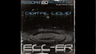 EllEr  Digital Liquid Paul Blauth Remix [upl. by Kubetz488]