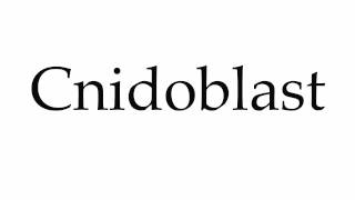 How to Pronounce Cnidoblast [upl. by Seroka]