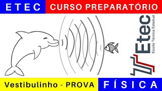 Vestibulinho ETEC 2025 🎯 Correção da Prova de FÍSICA etec 2024 BoraETEC [upl. by Pyszka]