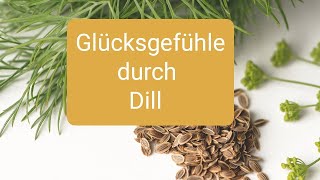 Dill für mehr Schlaf gegen bösen Zauber Fettleber hohen Cholesterin uSchilddrüsenunterfunktion [upl. by Toback]