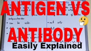 Antigen vs AntibodyDifference between antigen and antibodyAntigen and antibody difference [upl. by Lamak967]