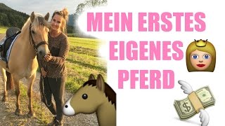 Mein erstes eigenes Pferd I EHORSES PROBEREITEN TRANSPORT KOLIK [upl. by Almap]