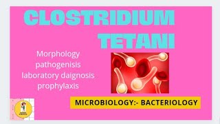 Clostridium tetani  Microbiology Bacteriology [upl. by Adnawat220]