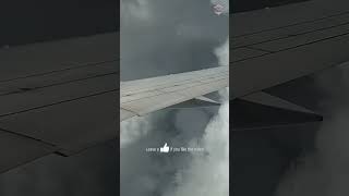 Plane thrown up and down in Cumulonimbus Clouds shorts [upl. by Nnaeel]