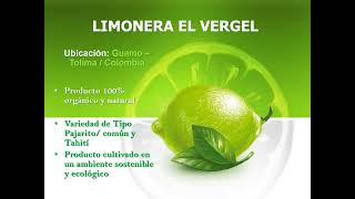 LIMONERA EL VERGEL [upl. by Narmi]