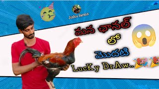 Lucky draw మన చానల్లో మొదటి లక్కీ డ్రా తక్కువకే పెట్టానుchicken lucky luckydraw [upl. by Hancock]