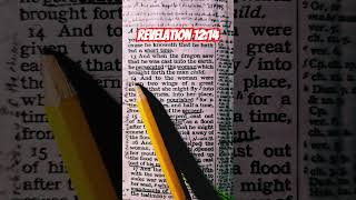 Revelation 1214 revelation revelation12 jesus bible [upl. by Emoreg]